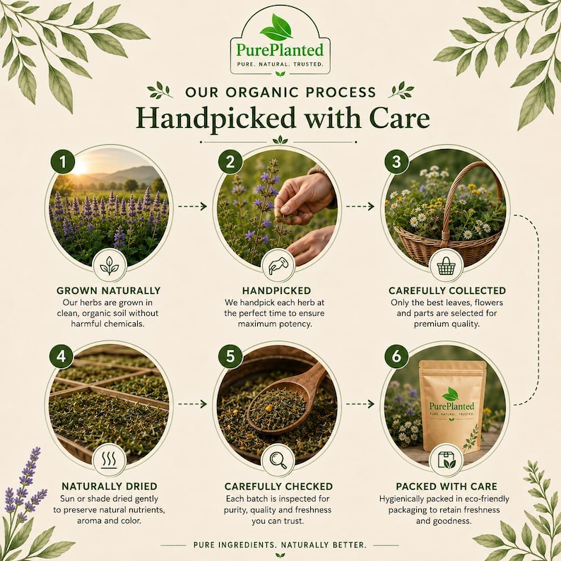 May include: An infographic detailing the organic process of PurePlanted herbs. The process includes growing, handpicking, collecting, drying, checking, and packing. The image features a bag of herbs and text that reads "Pure Ingredients, Naturally Better."
