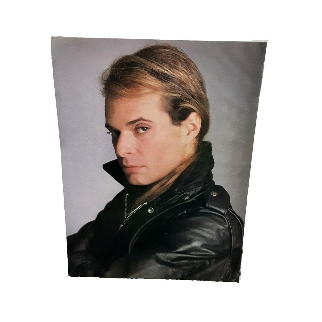 1987 David Lee Roth Magazine Cut Photo Portrait Vintage Van Halen - Etsy