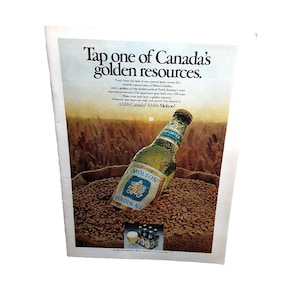 May include: An advertisement for Molson Golden Ale. The image features a bottle of beer with condensation, resting on a bed of grains. The text reads "Tap one of Canada's golden resources."