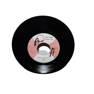 Lobo There Aint No Way 45 Record 16012 1973