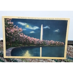 May include: Vintage postcard featuring the Washington Monument and cherry blossoms at night. The image shows the monument reflected in the water, with pink blossoms lining the water's edge. The text reads "124 - Washington Monument and Cherry Blossoms by Moonlight, Washington, D. C."