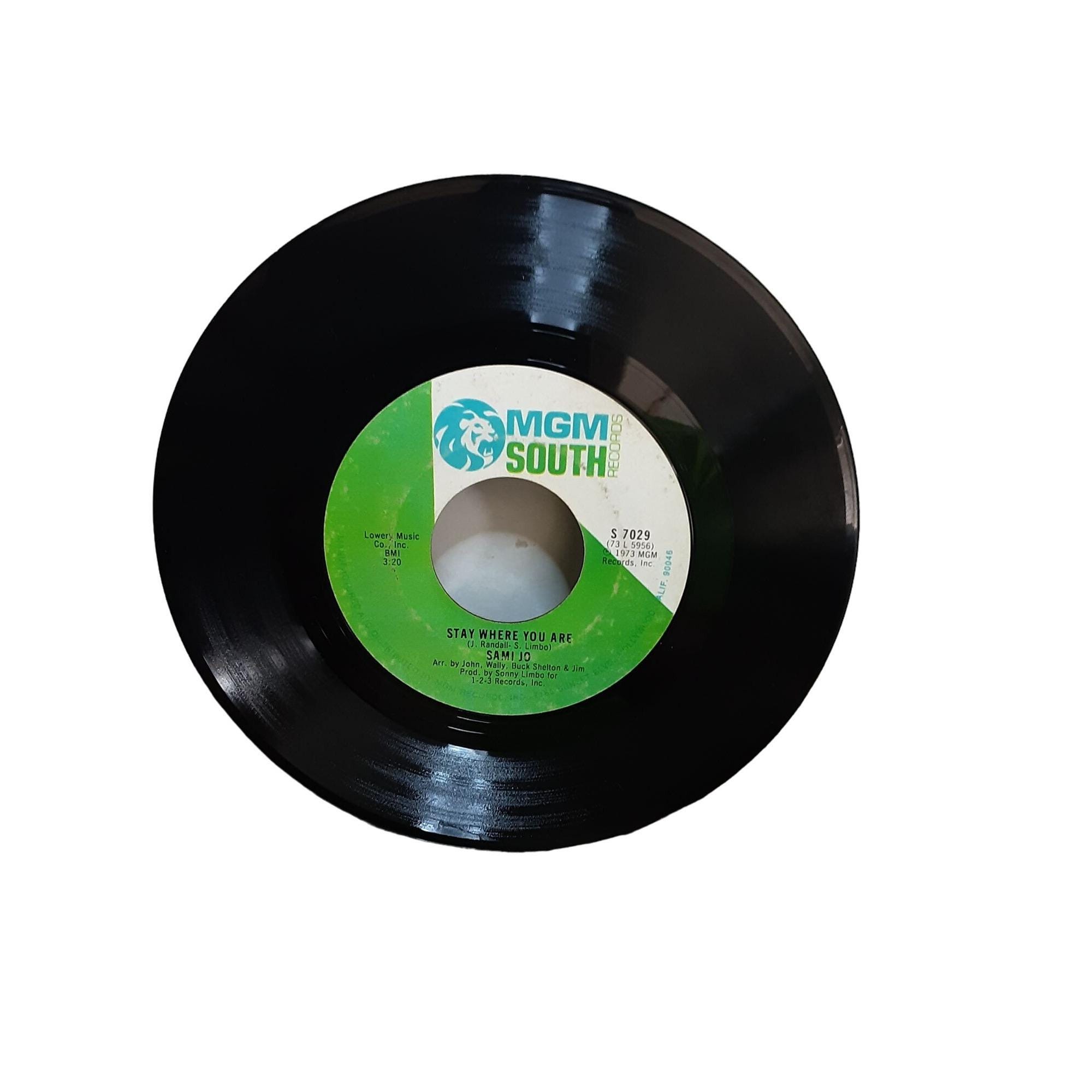Sami Jo Tell Me A Lie 45 Record MGM South 7029 1973 - Etsy
