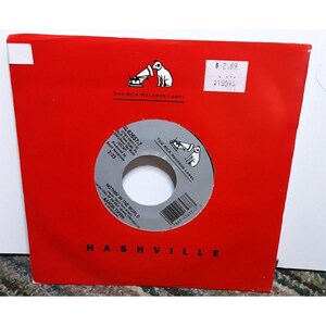 Aaron Tippin The Call Of The Wild 45 Record RCA Records 1993