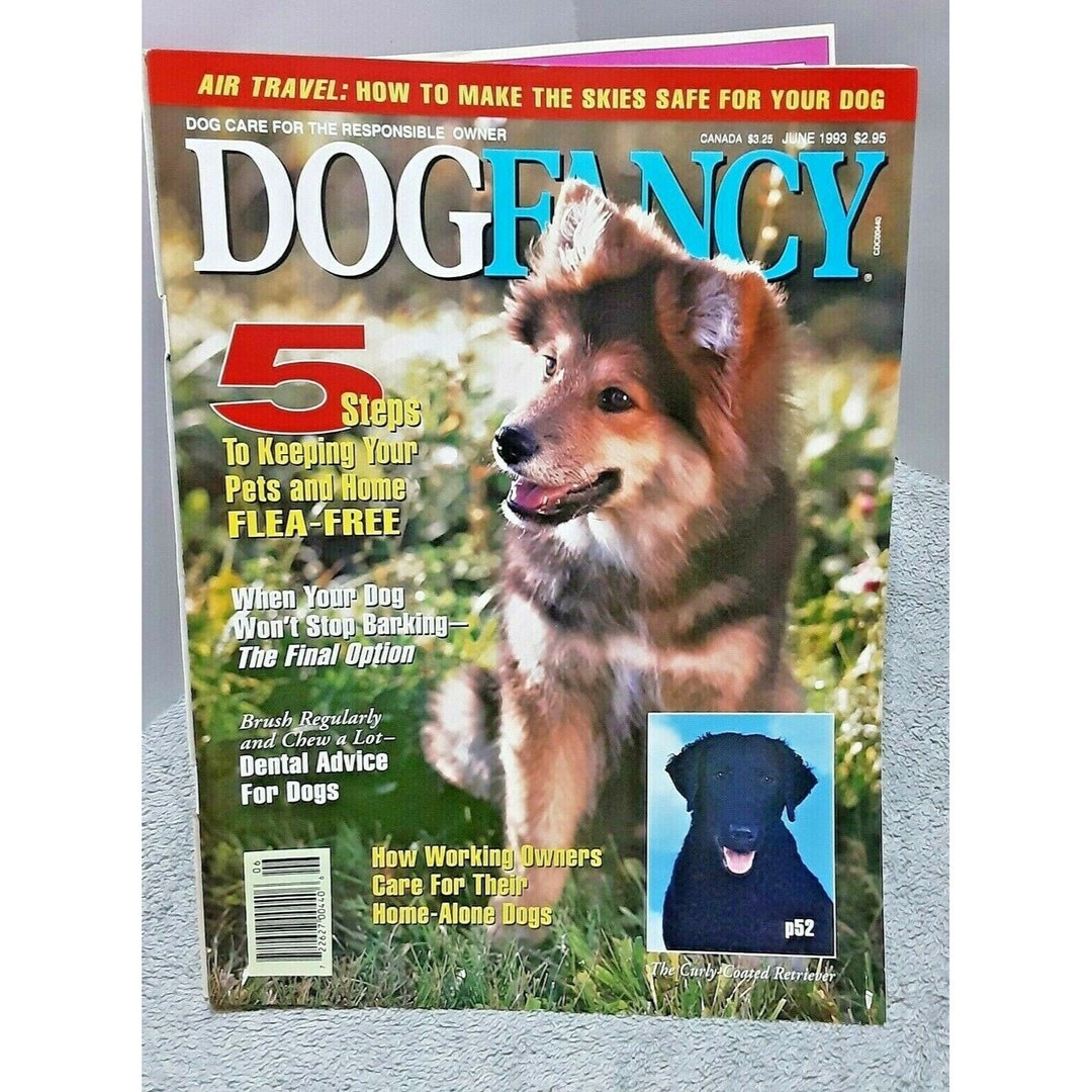 Dog Fancy Magazine June 1993 Curly Coated Retriever Etsy