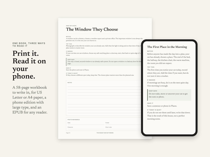 Print it, read it on your phone: 58-page workbook in US Letter and A4, phone edition and EPUB