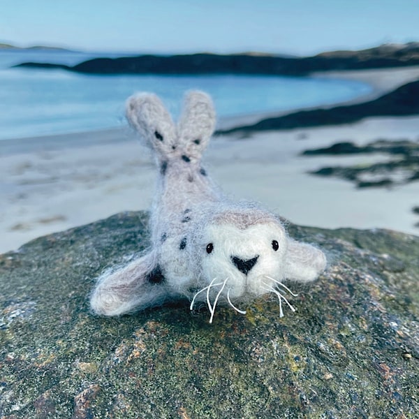 Needle Felt Kit Etsy