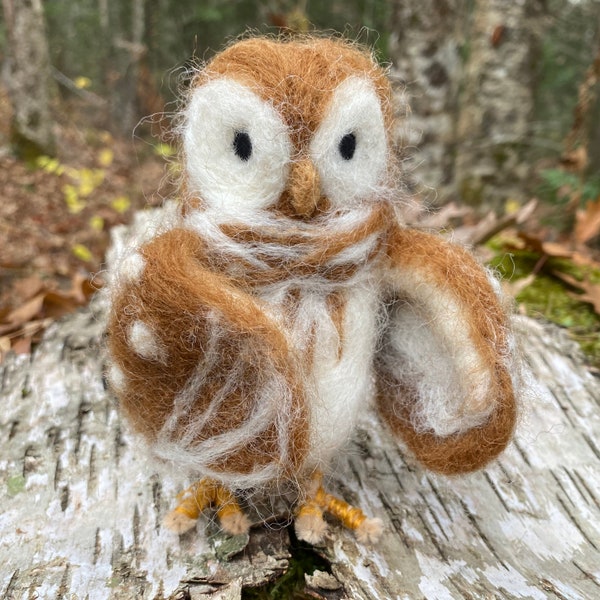 Owl Needle-felt Kit, Poseable Owl, DIY Owl Kit, Barred Owl, Needle-felting Kit, Owl Kit, Beginner Felting Kit, Heidi Boyd