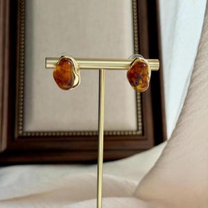 May include: A pair of stud earrings featuring irregular, organic-shaped amber-colored stones encased in a thin gold-toned metal rim. The stones exhibit a translucent, deep orange and brown marbled appearance with smooth, rounded edges.