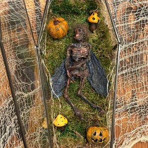 Dead Fairy in Coffin – Gothic Oddity, Dark Fairy Curio, Creepy Collectible, Spooky Halloween Décor