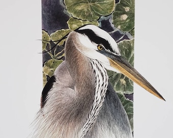 Great Blue Heron Limited Edition Giclee' Print-Signed & Numbered