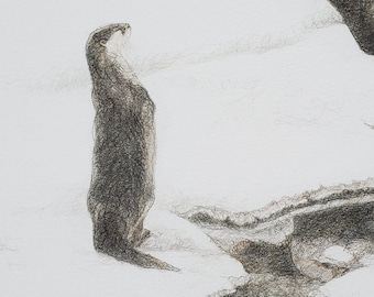 River Otter Limited Edition Giclee' Print-Signed & Numbered