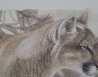 Mountain Lion Limited Edition Giclee' Print-Signed & Numbered