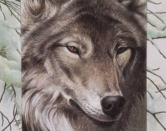 Grey Wolf Limited Edition Giclee' Print-Signed & Numbered