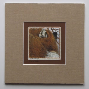 May include: A framed artwork featuring a detailed illustration of a fox's head. The fox has reddish-brown fur, a white muzzle, and a focused gaze. The artwork is matted in brown and framed in a neutral tan color, creating a classic presentation.