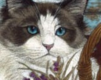 Ragdoll Cat Signed Giclee' Matted Print