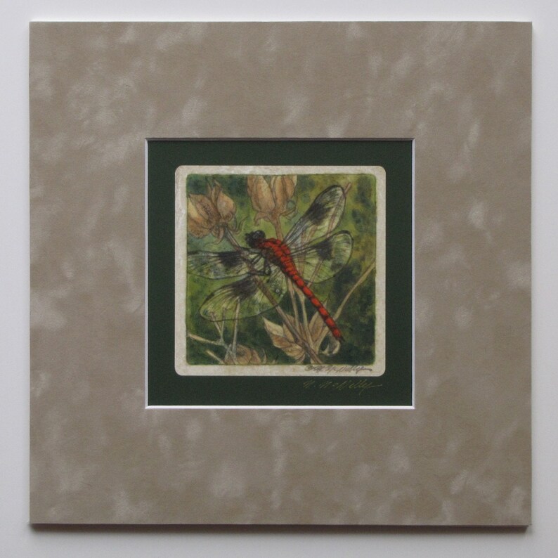 Dragonfly Matted/Signed Giclee Print image 3