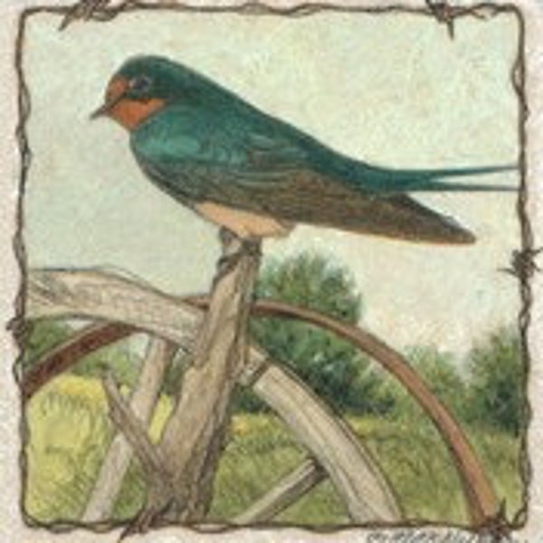 Barn Swallow Matted/Signed Giclee  Print