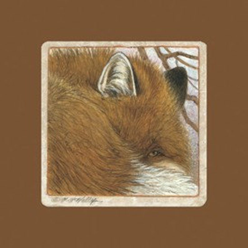 May include: Close-up of a detailed illustration of a fox's head and ear. The fox has reddish-brown fur, a dark eye, and a white-edged ear. The artwork is set against a soft, blurred background with hints of branches and a brown border.