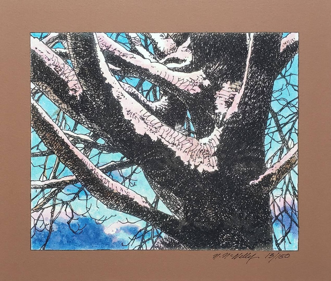 Aging Sentinel Tree Signed and Numbered Giclee Print Etsy