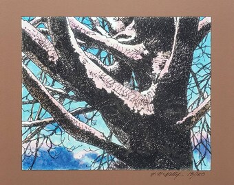 Aging Sentinel Tree  Signed and Numbered Giclee Print