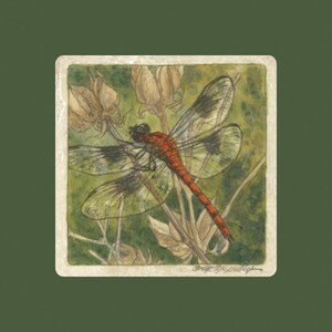 Dragonfly Matted/Signed Giclee Print image 2