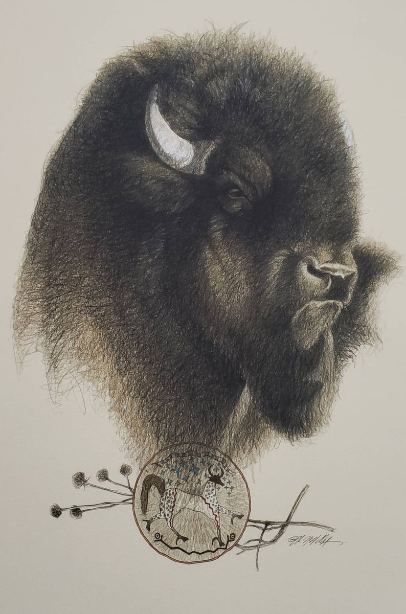 Pu&ograve; includere: Un disegno in bianco e nero della testa di un bisonte con un corno bianco. Il bisonte guarda a destra. Sotto il bisonte c'&egrave; un disegno circolare con un animale stilizzato al suo interno. Il disegno &egrave; in tonalit&agrave; di marrone, bianco e blu.