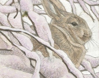 Eastern Cottontail Matted/Signed Giclee Print