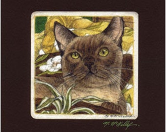 Burmese Cat Signed Giclee' Matted Print