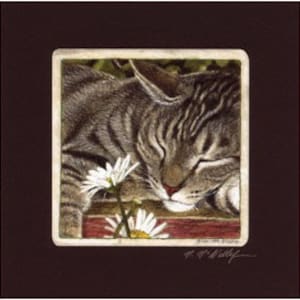 Brown Tabby Cat Signed Giclee' Matted Print