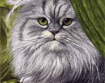Silver Persian Cat Signed Giclee Matted Print