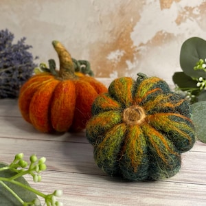 May include: Two needle-felted pumpkins. One pumpkin is vibrant orange with a brown stem and textured ridges. The second pumpkin is dark green with orange fiber accents and a circular center, featuring a rounded, segmented shape and soft wool texture.