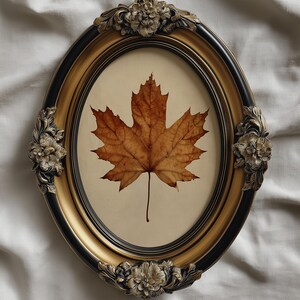 Printed & Shipped Maple Autumn Leaf Print from Set of 3, Rustic Vintage Botanical Wall Art for Neutral Fall Decor