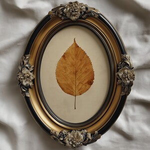 May include: An oval-shaped picture frame with a black and gold finish, featuring ornate floral carvings at the top, bottom, and sides. The frame contains a single, dried, golden-brown leaf centred against a plain, light-coloured background.