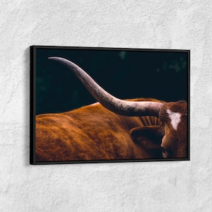 Texas Longhorn Cow Canvas Print: Farmhouse Wall Art, Ready to Hang
