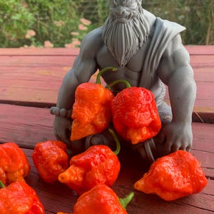 Puede incluir: Pimientos rojos y naranjas brillantes con tallos verdes, dispuestos sobre una superficie de madera roja. Una estatua gris de una figura con cuernos está en el fondo.