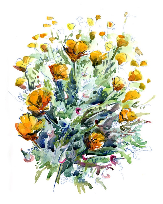 California Poppies Fine Art Print Of A Watercolor Sketch Etsy
