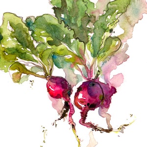 Kitchen Art, Spring Gardening radish watercolor 8x10 print from an original watercolor sketch image 2