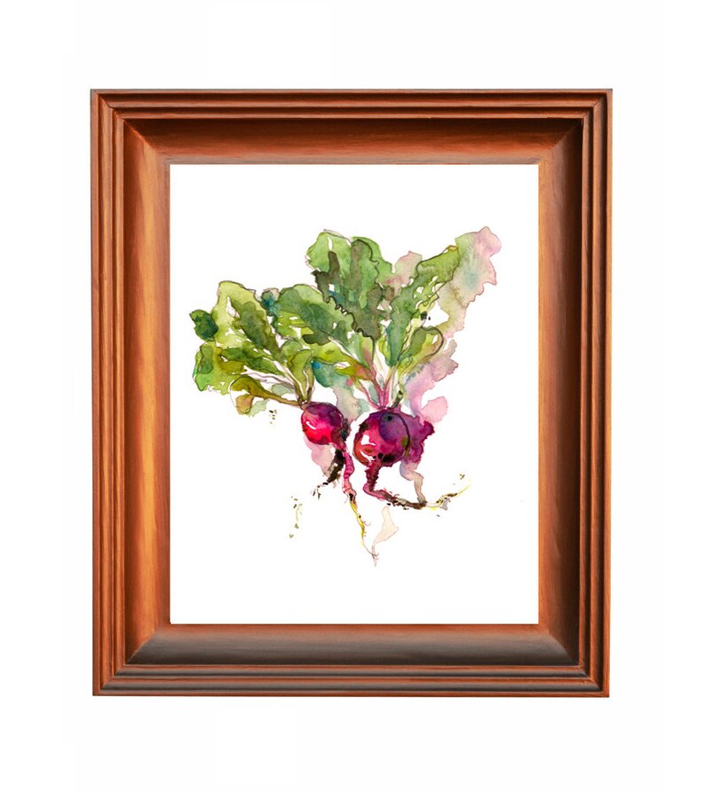 Kitchen Art, Spring Gardening radish watercolor 8x10 print from an original watercolor sketch image 3