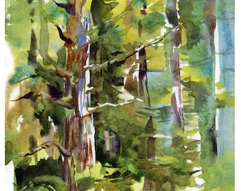 Redwoods, California : print of a watercolor sketch