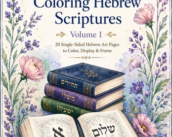 May include: A book cover titled Divine Inspirations: Coloring Hebrew Scriptures Volume 1, featuring 20 single-sided pages. The design includes three stacked books in blue, purple, and green, an open book with Hebrew characters, and floral borders.
