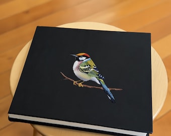 Leporello Notizbücher / Wings Kollektion - Akkordeon Design um deine Notizen & Skizzen als eine fließende Geschichte oder Seite für Seite zu betrachten.