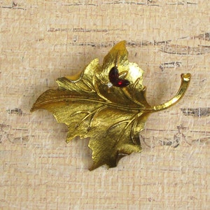 May include: A gold-tone leaf-shaped brooch with a red rhinestone in the center.
