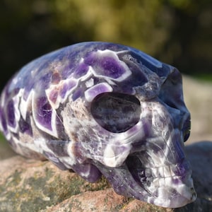 May include: A carved amethyst skull sculpture. The skull is a deep purple colour with white and lavender veining. The sculpture is resting on a rock, with a blurred green background.