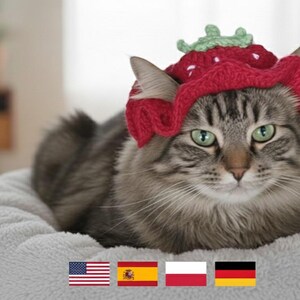 Crochet Strawberry Cat Hat Pattern - PDF Digital Download - Fruit Pet Bonnet for Cats and Small Dogs - 4 languages