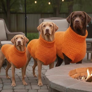 May include: Three dogs wearing orange turtleneck sweaters stand outdoors near a fire pit and patio furniture. The dogs are a light brown, tan, and dark brown color. The sweaters are a bright orange color and appear to be knitted.