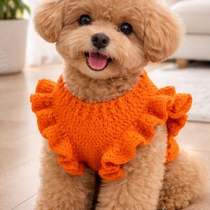 May include: A small, light brown dog wearing an orange, ruffled knit sweater. The dog is smiling with its tongue out. The sweater has a round neckline and a ruffled edge. The dog is sitting on a light-colored wooden floor.