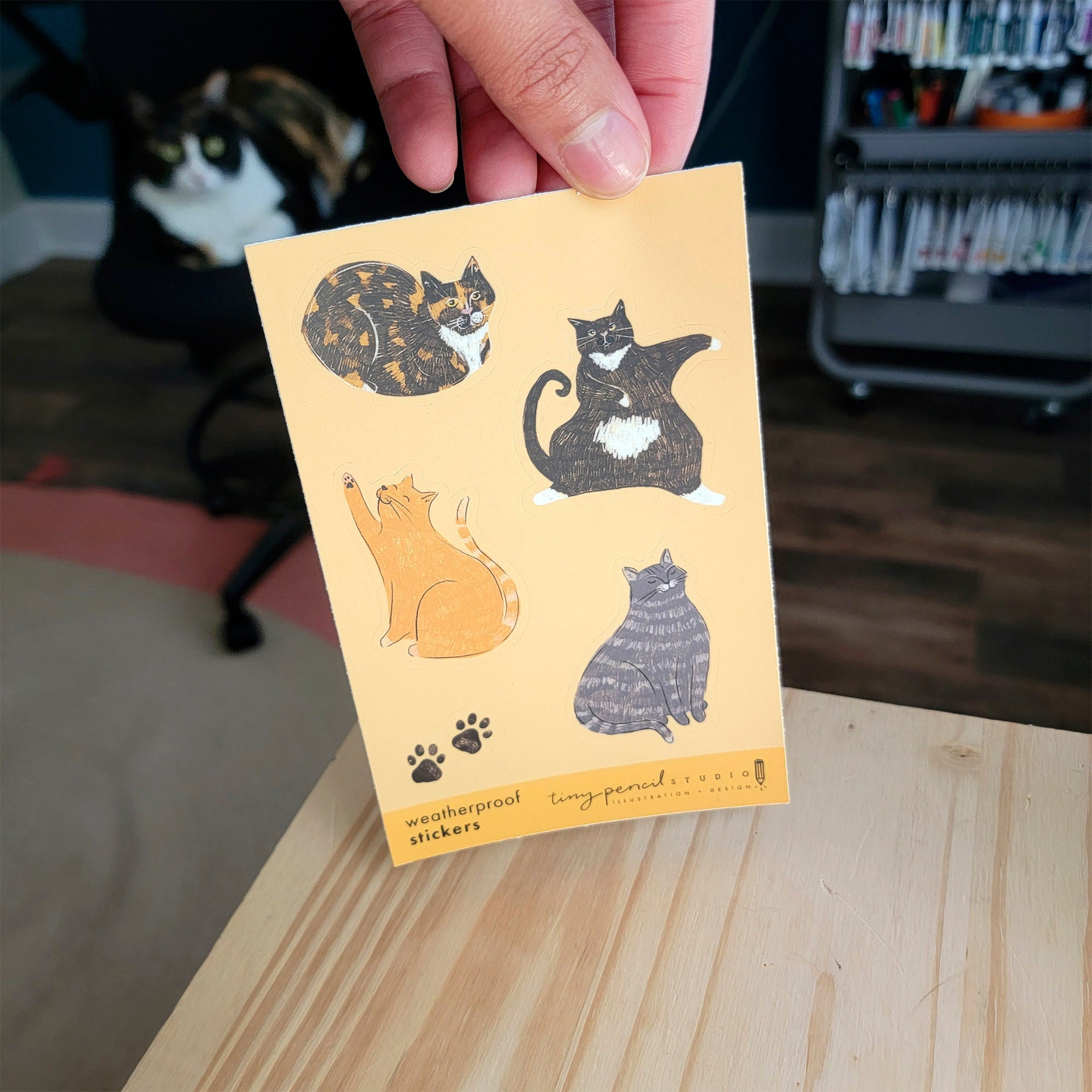 Cute Cats Weatherproof Sticker Sheet | Cute Illustrated Cat Stickers ...