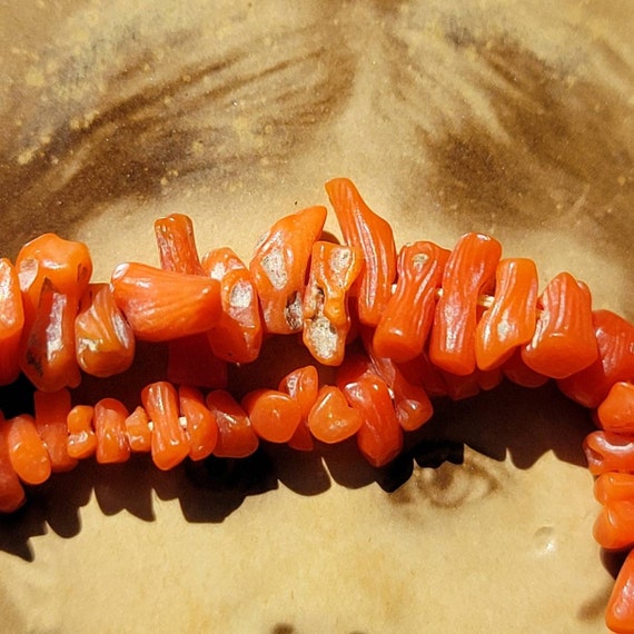 Victorian Coral Necklace. With Photograph. Proven… - image 8