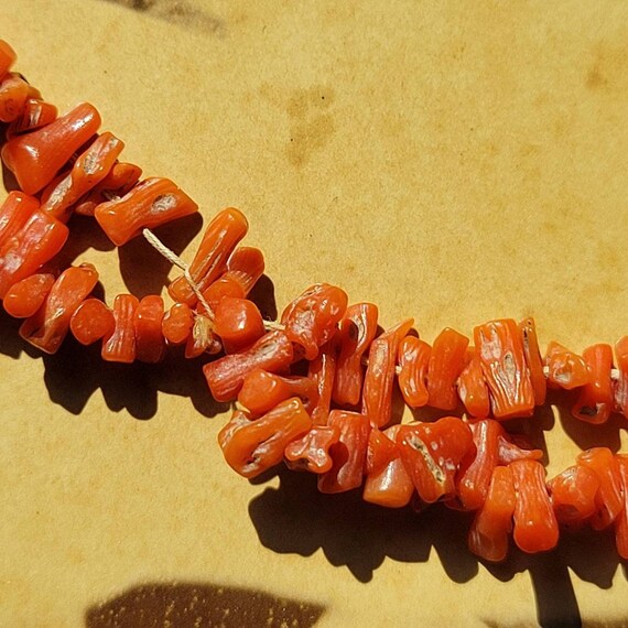 Victorian Coral Necklace. With Photograph. Proven… - image 7