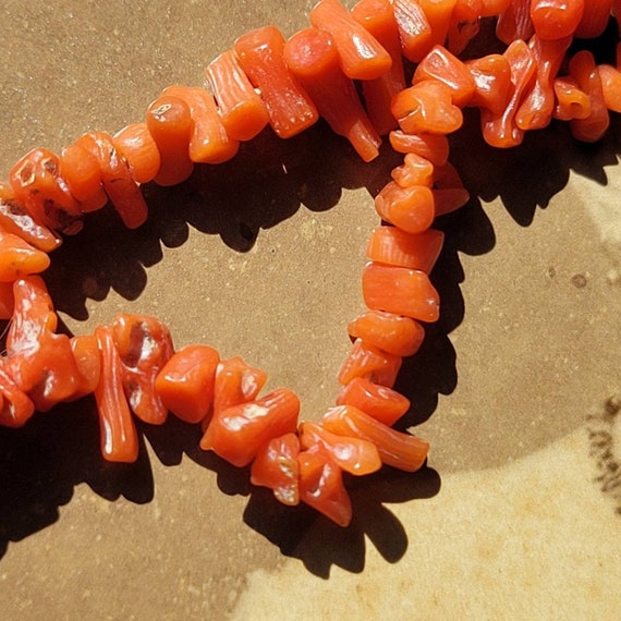 Victorian Coral Necklace. With Photograph. Proven… - image 9